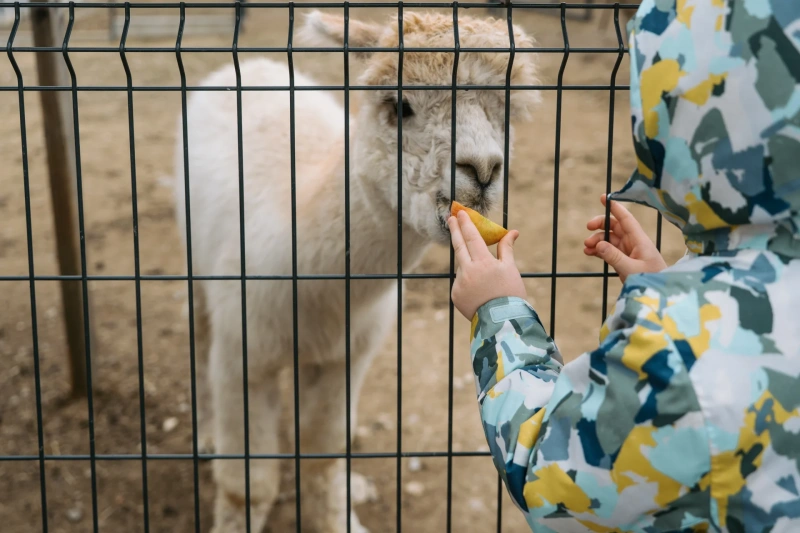 Bio farm park - Hlavná galéria