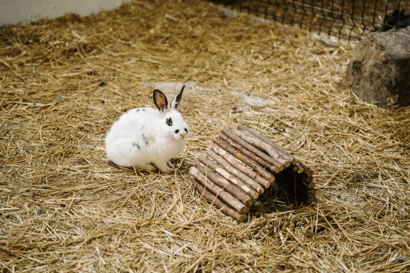 Bio farm park - Hlavná galéria